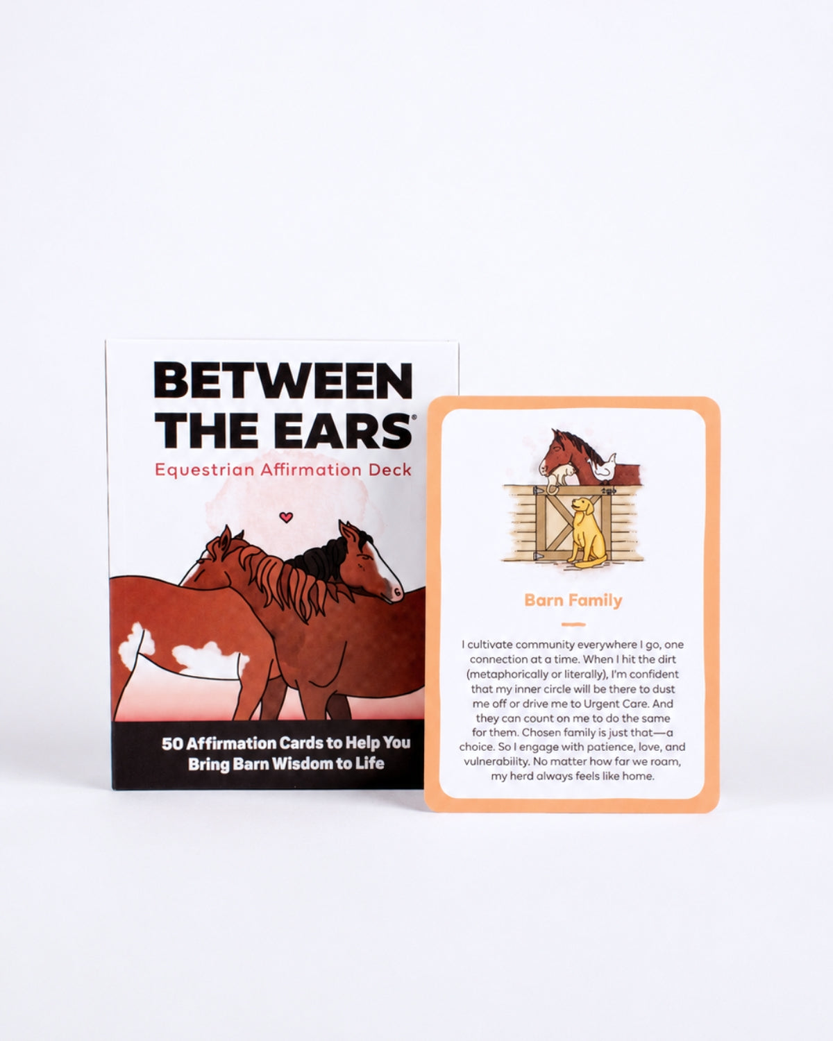Between The Ears® Equestrian Affirmations