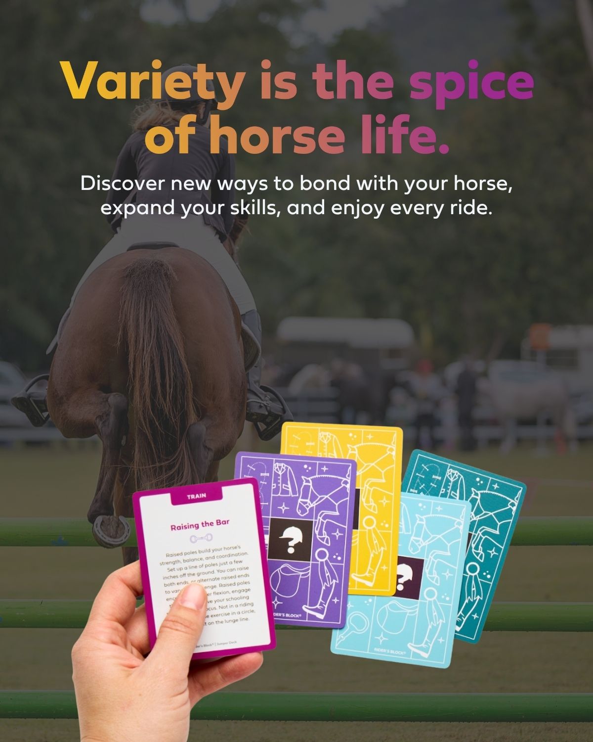 Person holding horse training cards with a horse in the background and text about horse life.