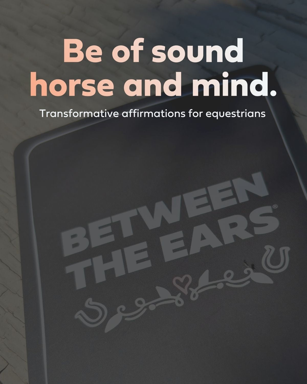 sound horse and mind